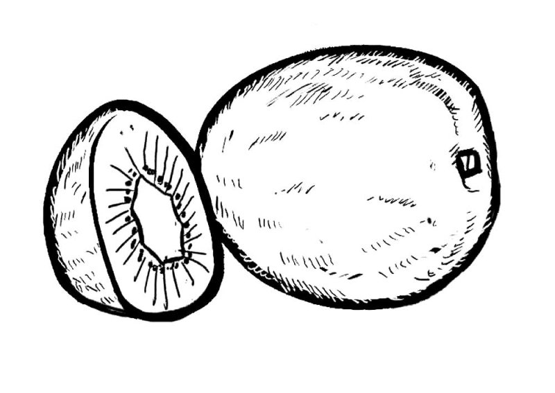 Киви картинка раскраска