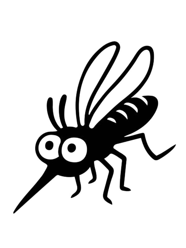 Комар черно белый