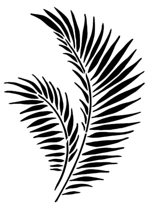 Ветка пальмы