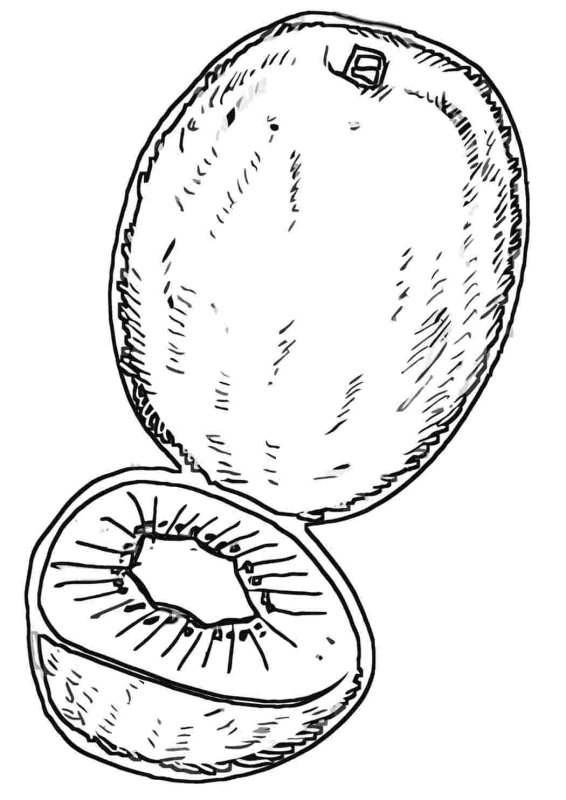 Детские раскраски киви