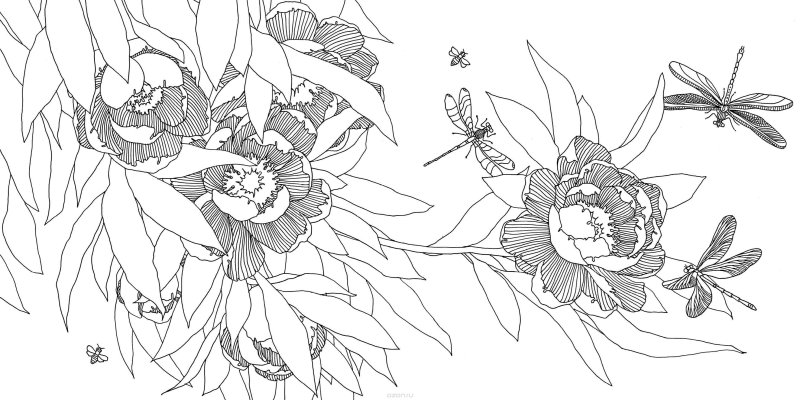 Раскраски антистресс цветочки