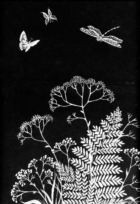 Рисунки белым по черному