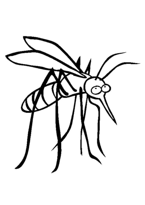 Раскраска насекомые для малышей