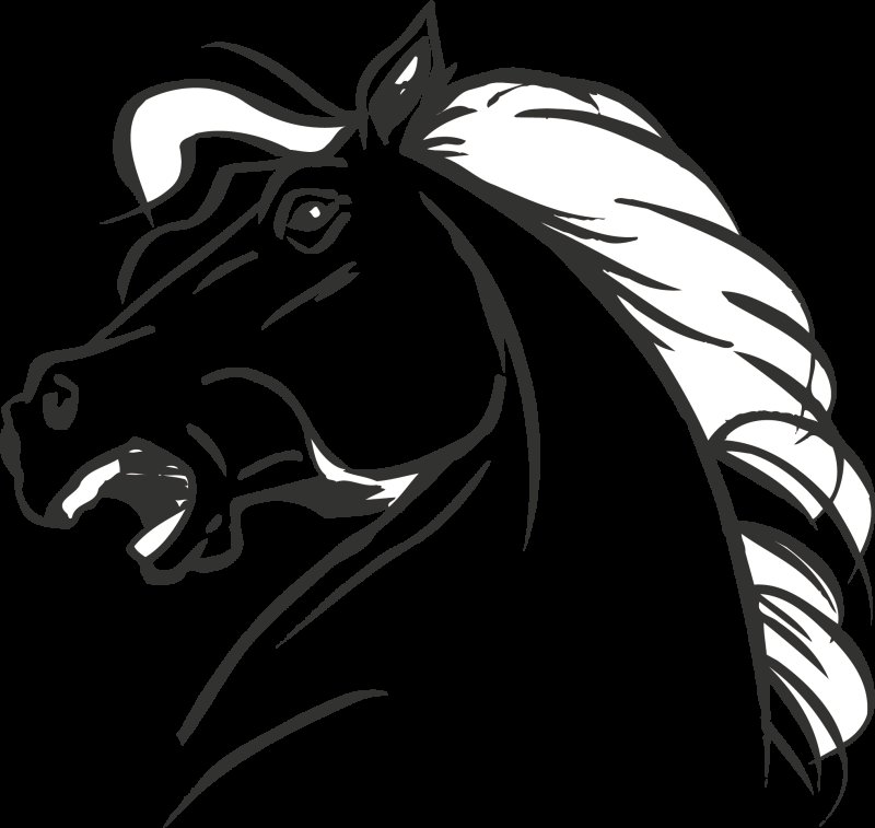 Голова лошади