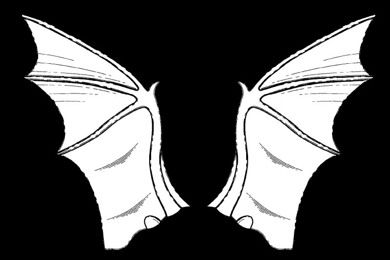 Крылья демона