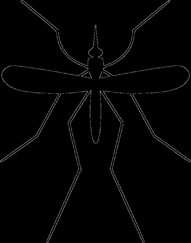 Нарисовать комара