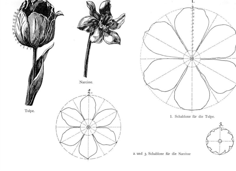 Чертеж цветка из металла