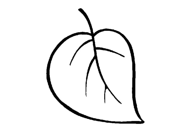 Лист яблони раскраска для детей