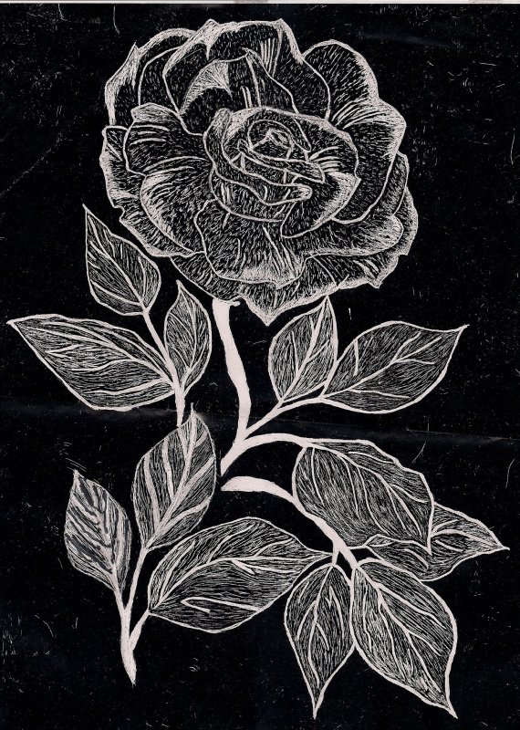 Красивые Гравюры