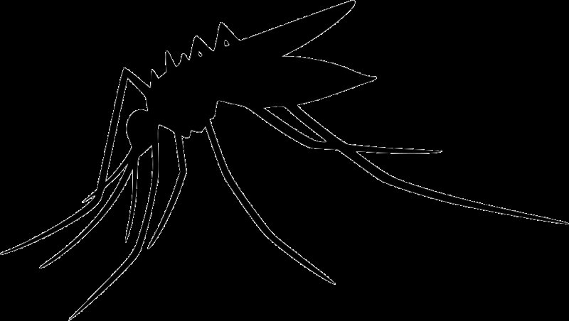 Комар вектор