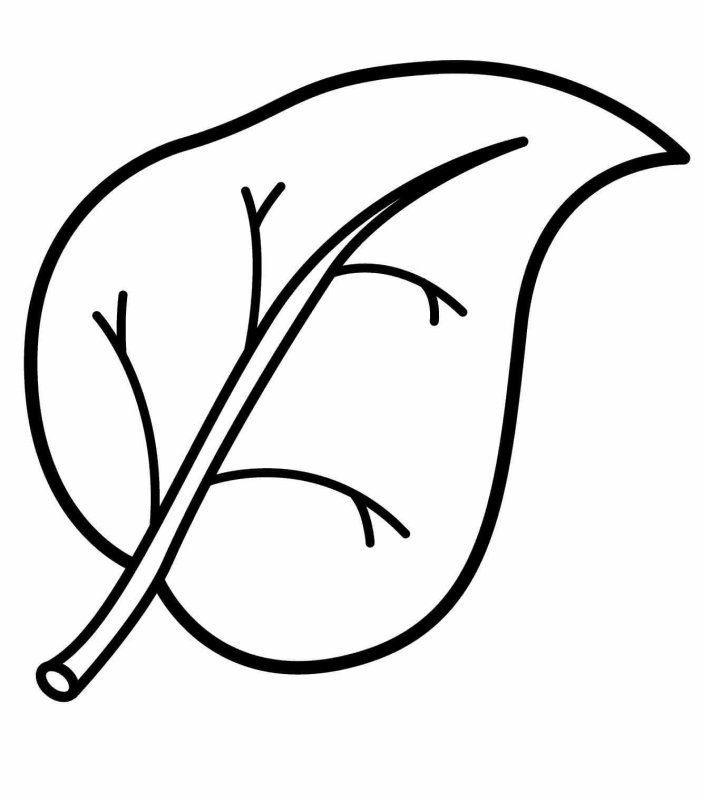 Листья раскраска для детей