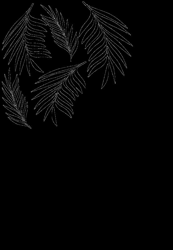 Тропические листья силуэт