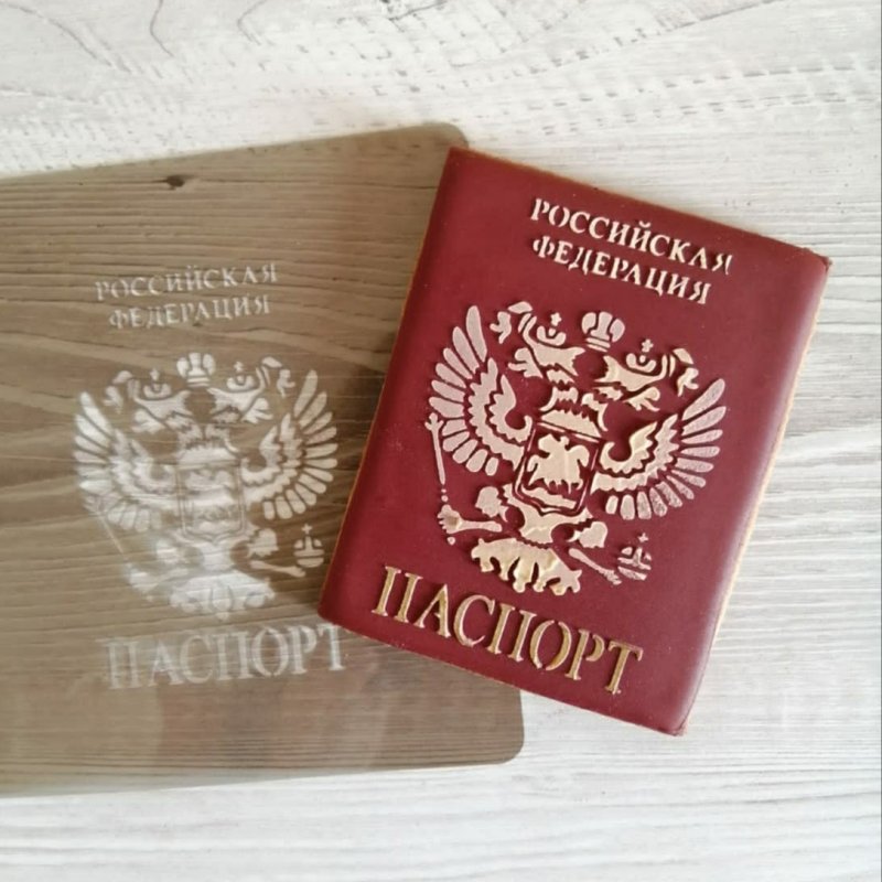 Паспорт РФ корочка