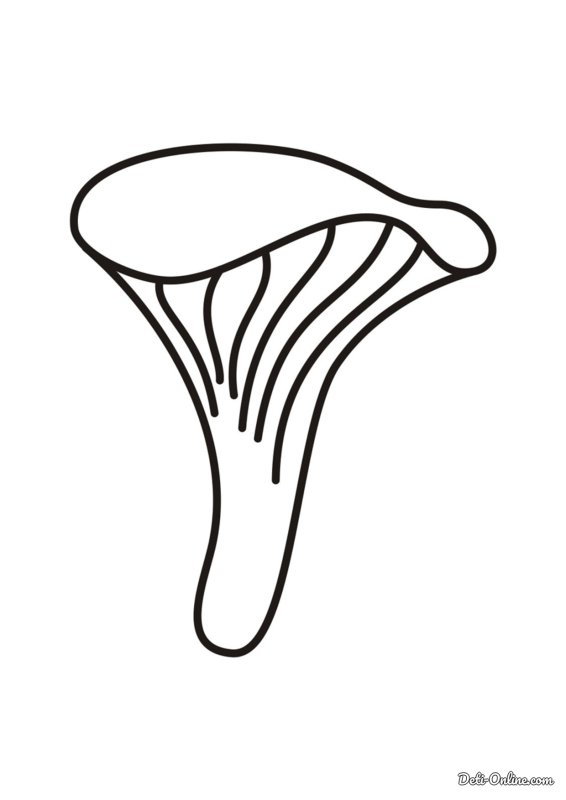 Гриб Лисичка раскраска