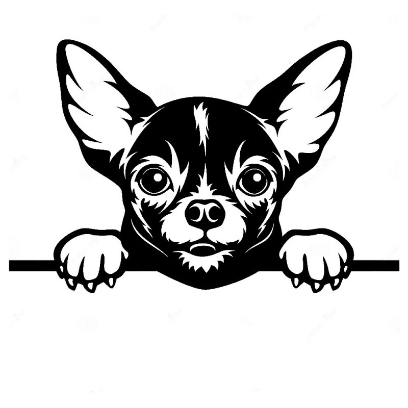 Чихуа вектор