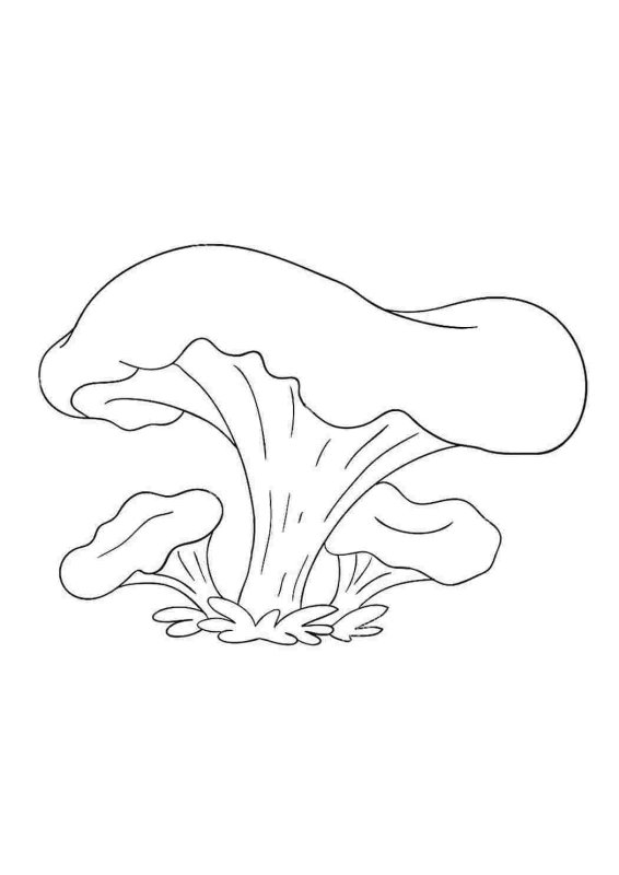 Гриб Лисичка разукрашка