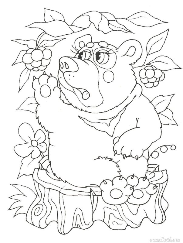 Раскраска медведь с малиной