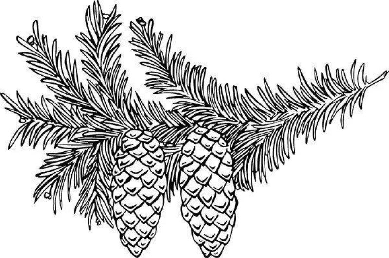 Рисунок едовой ветчм