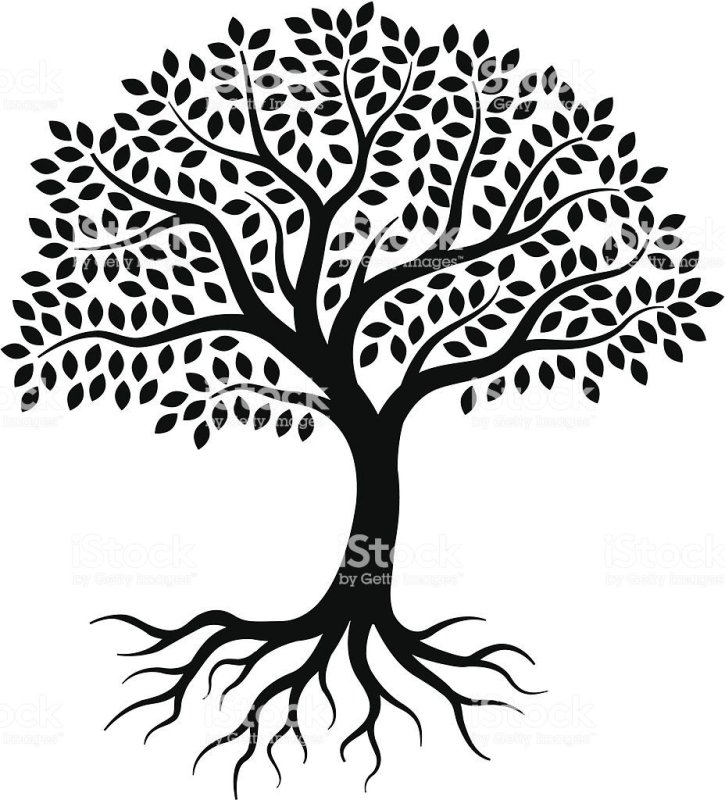 Силуэт дерева