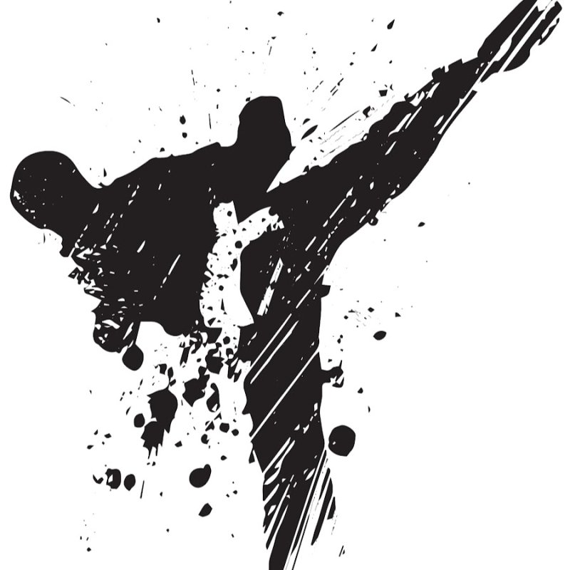 Силуэты тхэквондистов