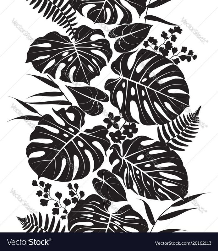 Тропические листья силуэт