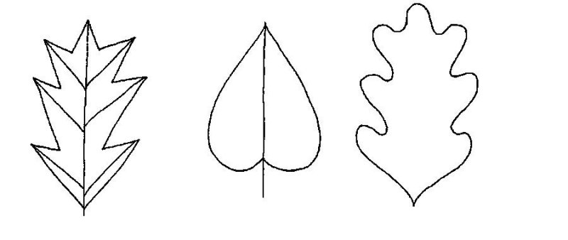 Листья для вырезания из бумаги шаблоны