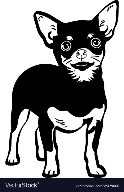 Силуэт той терьера