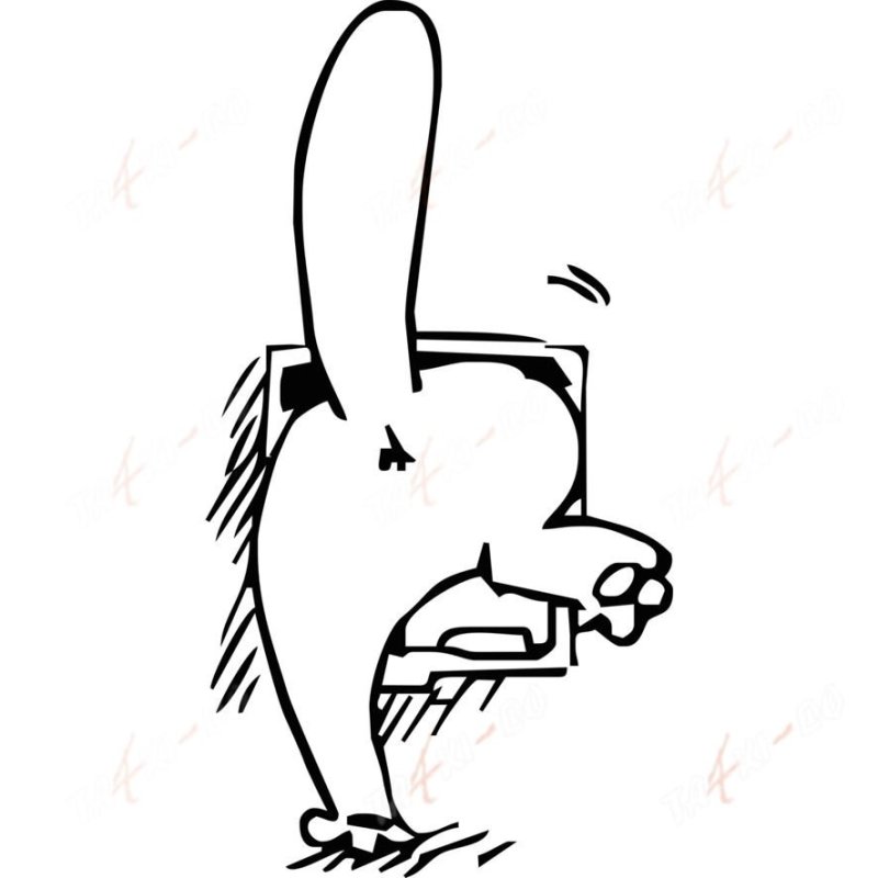 Смешные Стикеры