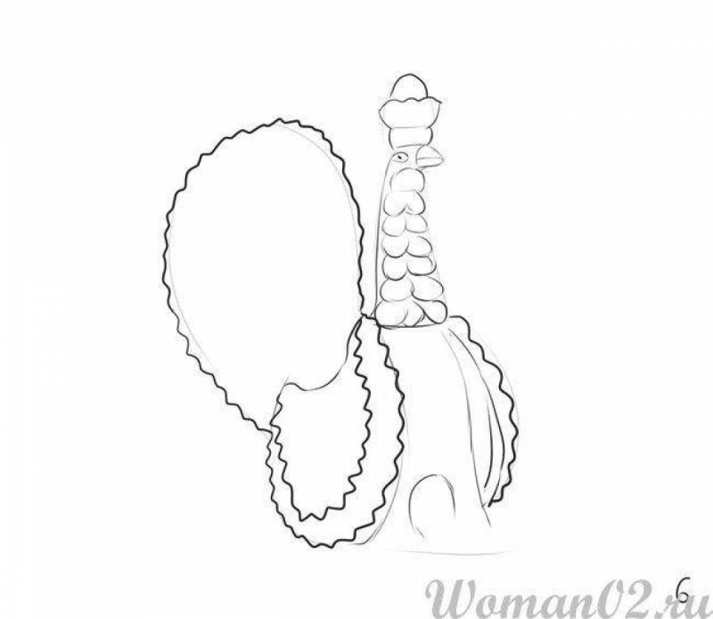 Силуэт дымковского индюка