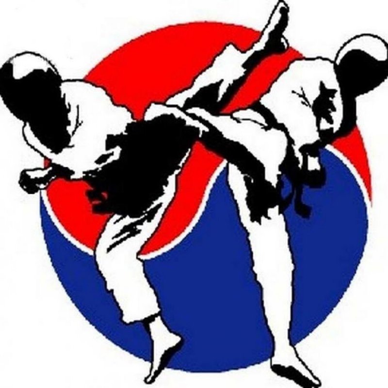 Боевое искусство тхэквондо ИТФ