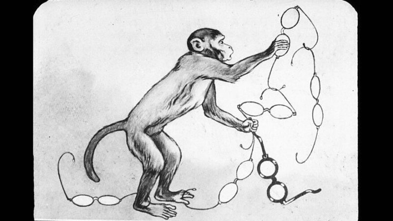 Мартышка и очки иллюстрация