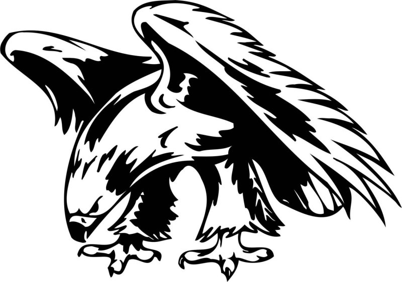 Орел векторное изображение