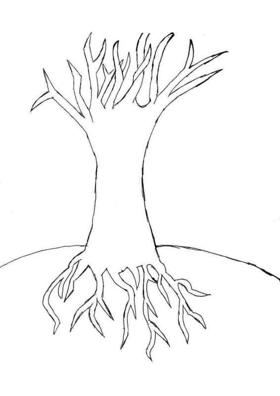 Раскраска дерево без листьев