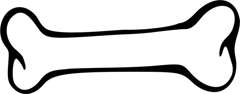 Кости рисунок