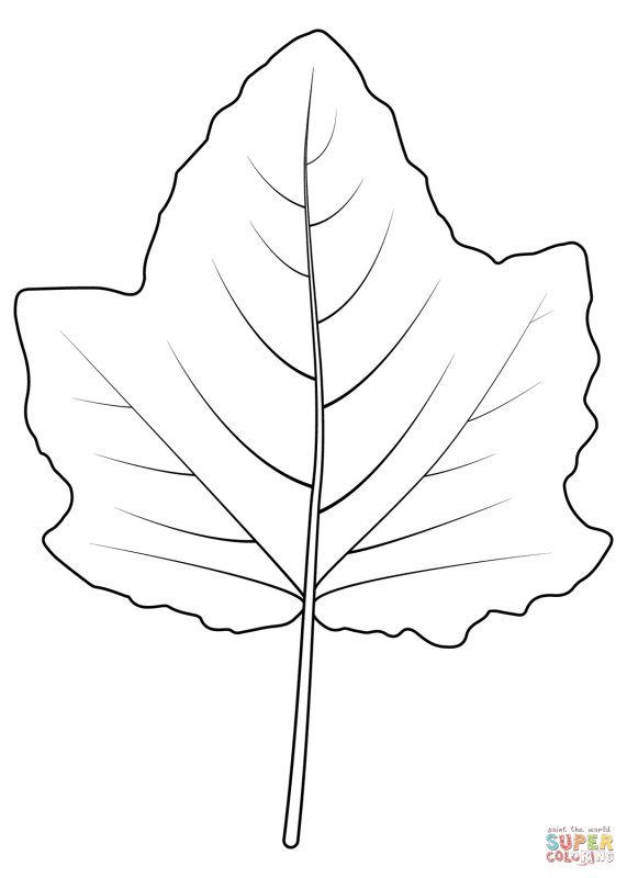 Лист осины раскраска