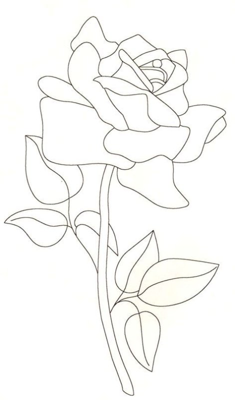 Цветы рисунок