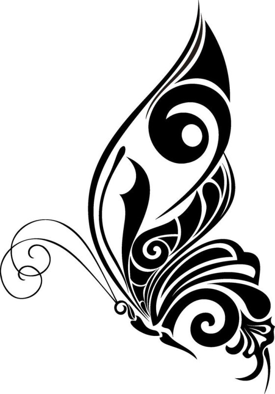 Бабочка эскиз