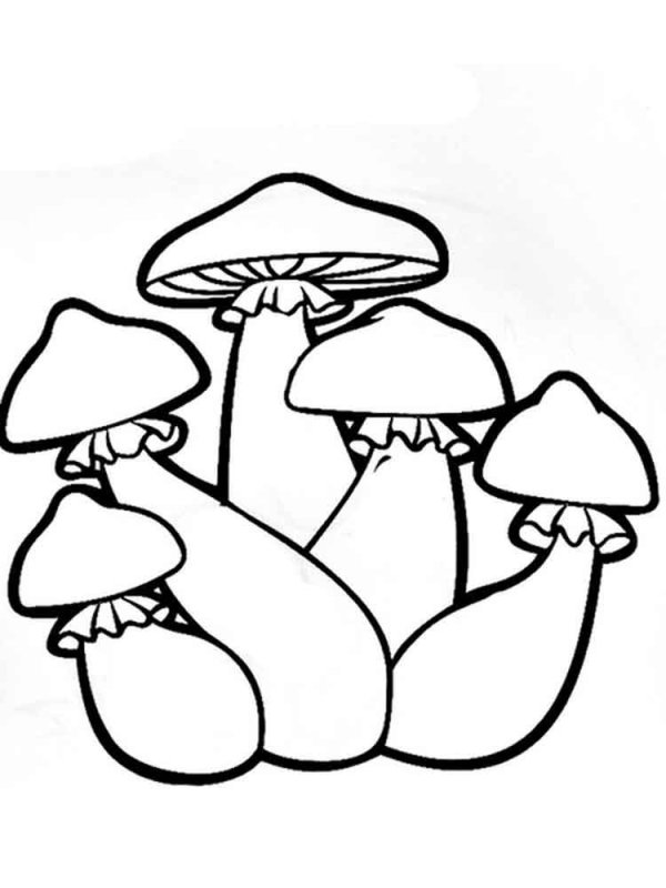 Грибы опята раскраска для детей