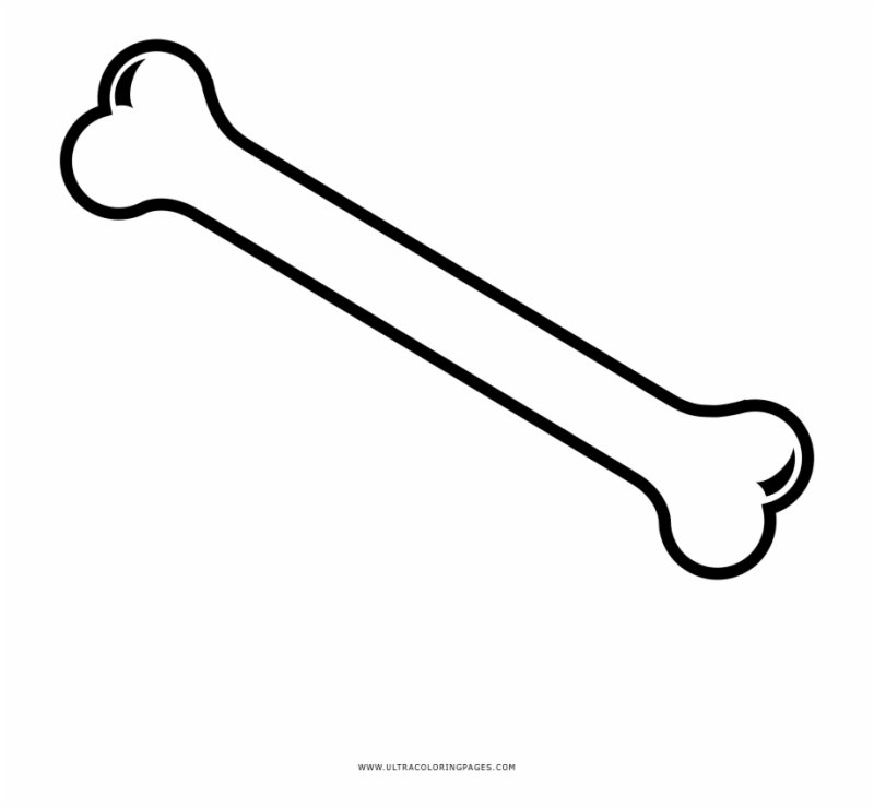 Косточки для скелета раскраски