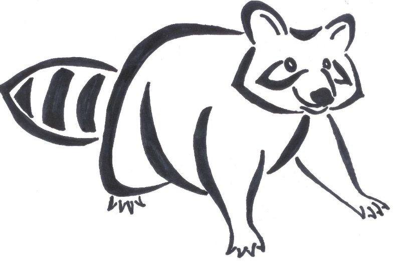 Раскраска малышам. Енот