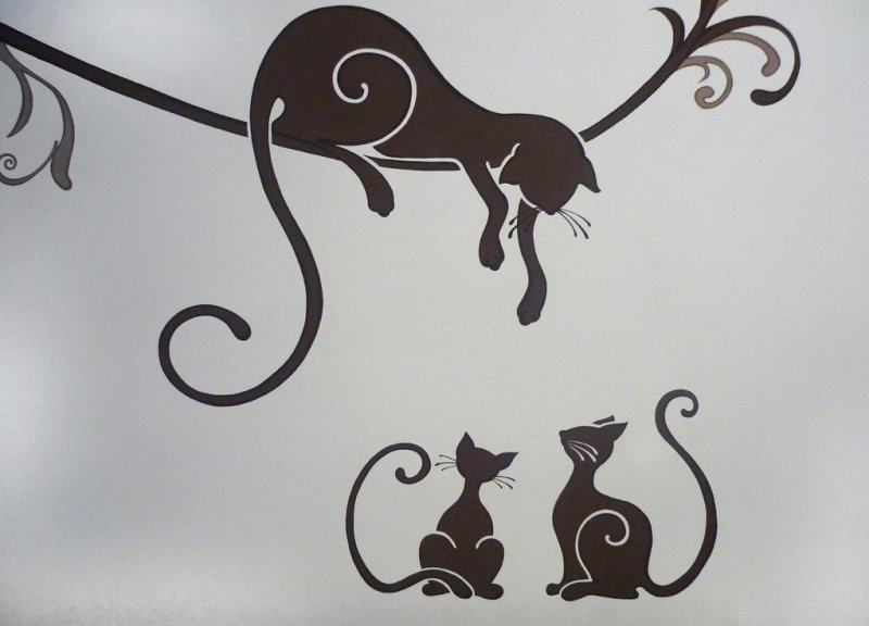 Роспись стен кошки