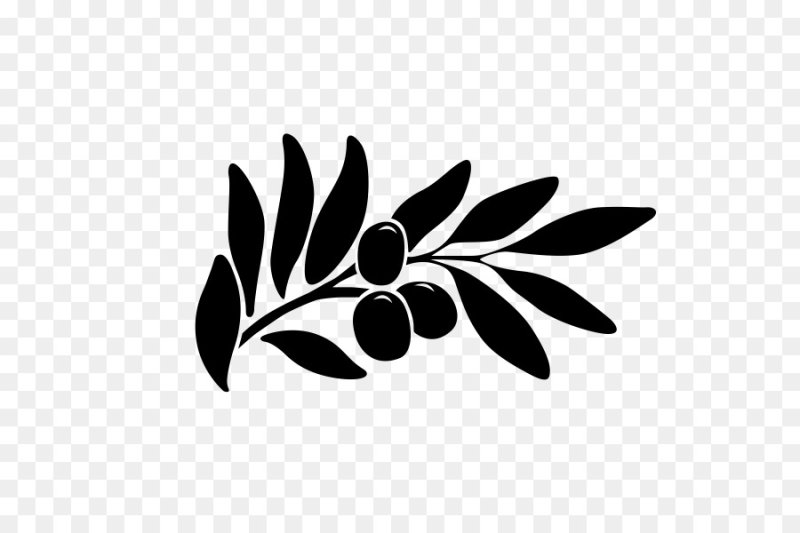 Оливковая ветвь символ