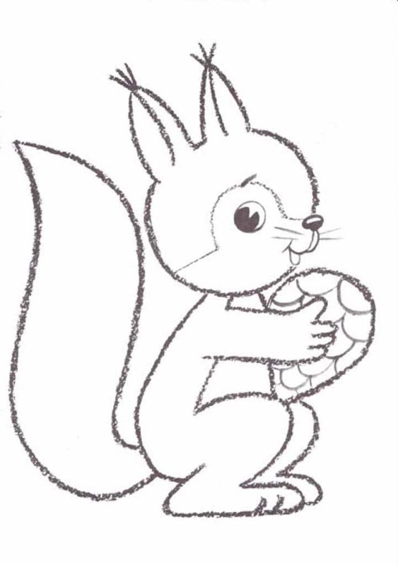 Бельчонок раскраска для детей