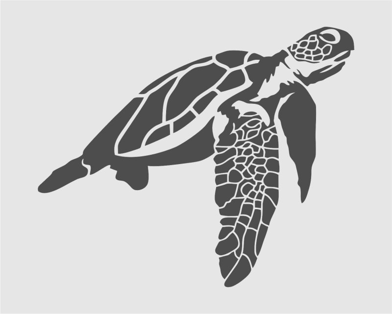 Черепаха на белом фоне