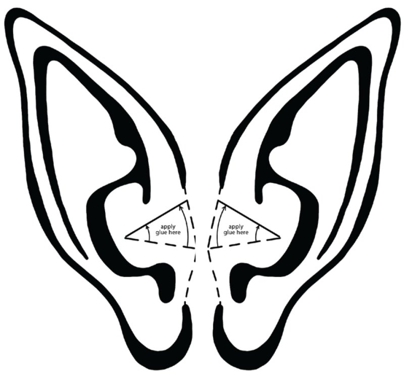 Ухо раскраска