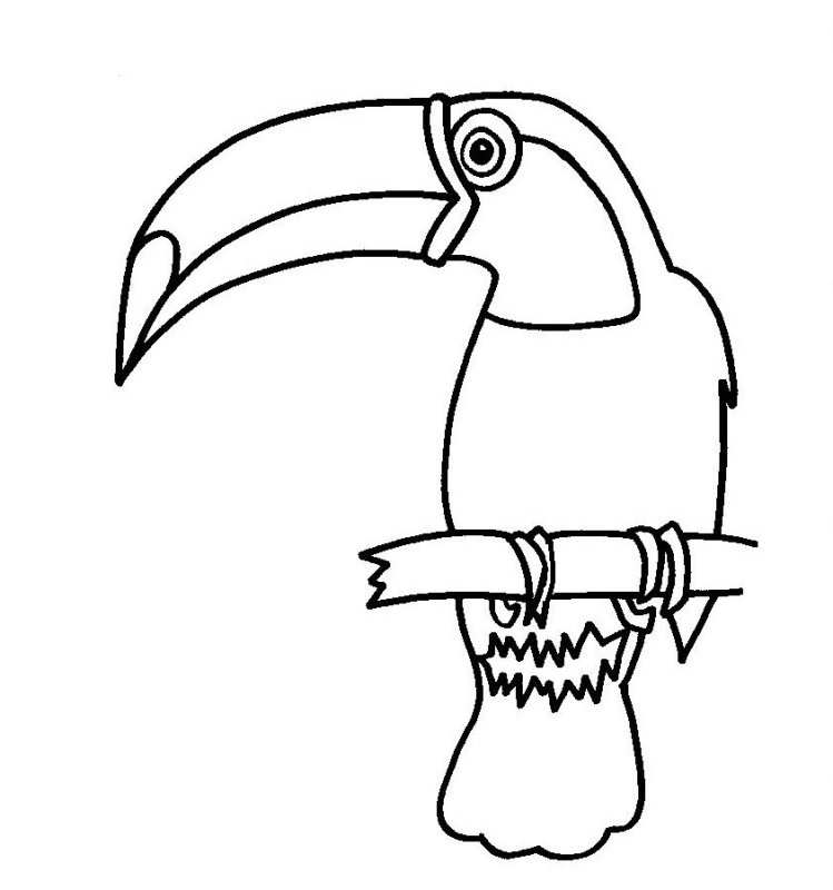 Тукан трафарет