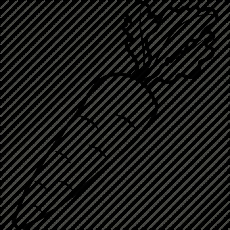Морковь раскраска
