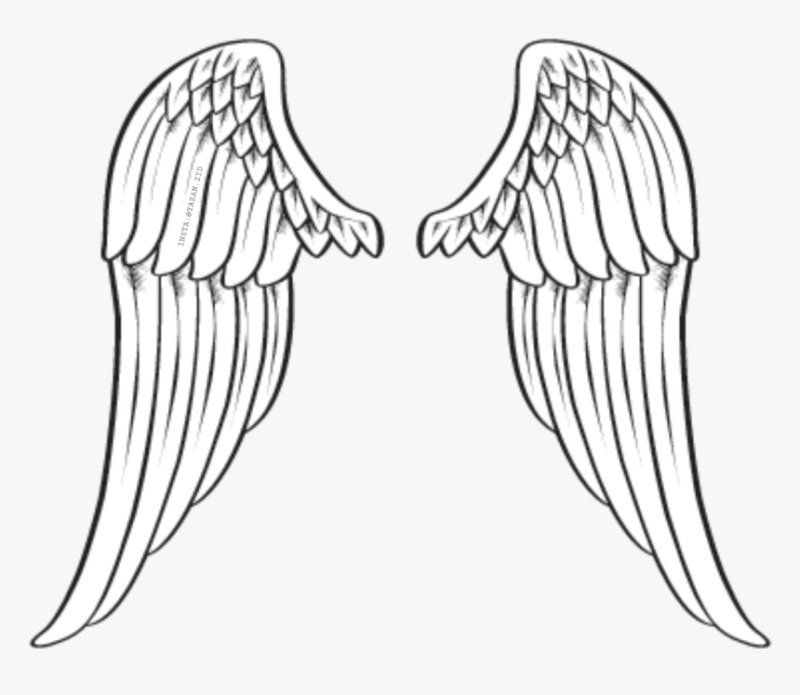 Крылья ангела трафарет