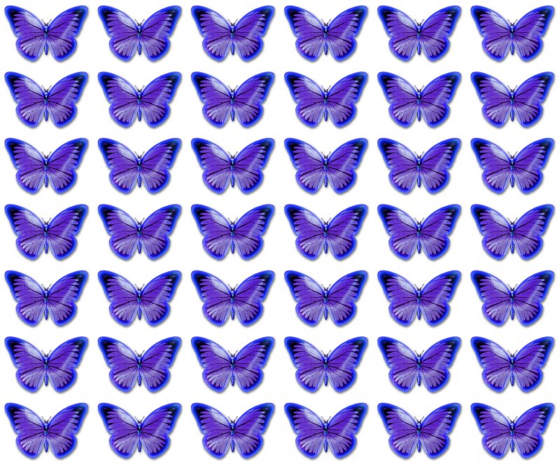 Бабочки сиреневые для печати