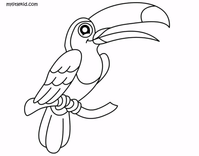 Раскраски птицы для детей 5-6 лет